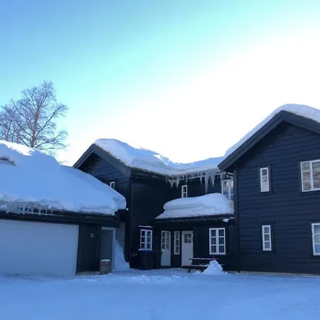 Flott Pa Haugen I Sirdal Tjorhom