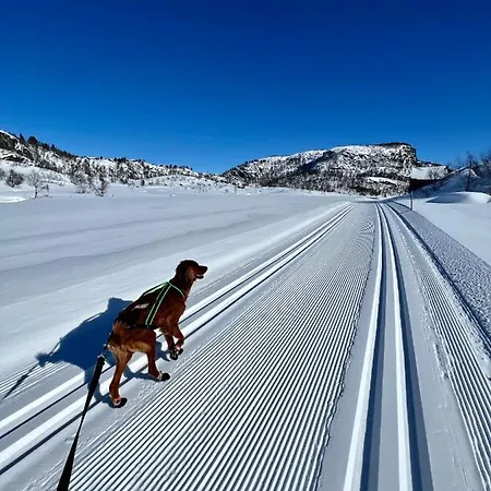 公寓 Flott Pa Haugen I Sirdal Tjorhom