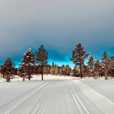 Flott Pa Haugen I Sirdal * Tjorhom