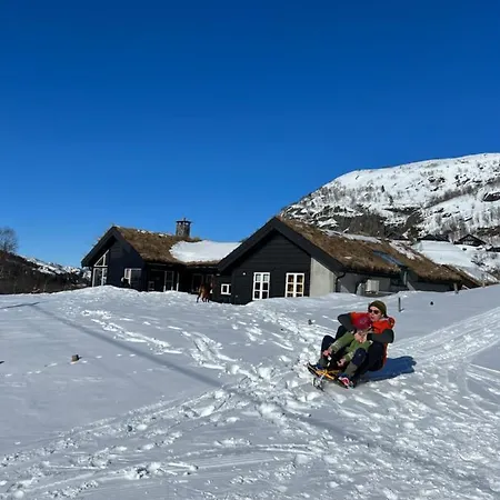 Flott Pa Haugen I Sirdal 公寓