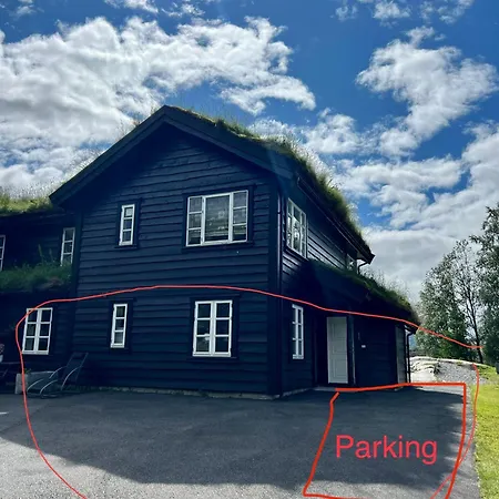 Flott Pa Haugen I Sirdal * Tjorhom