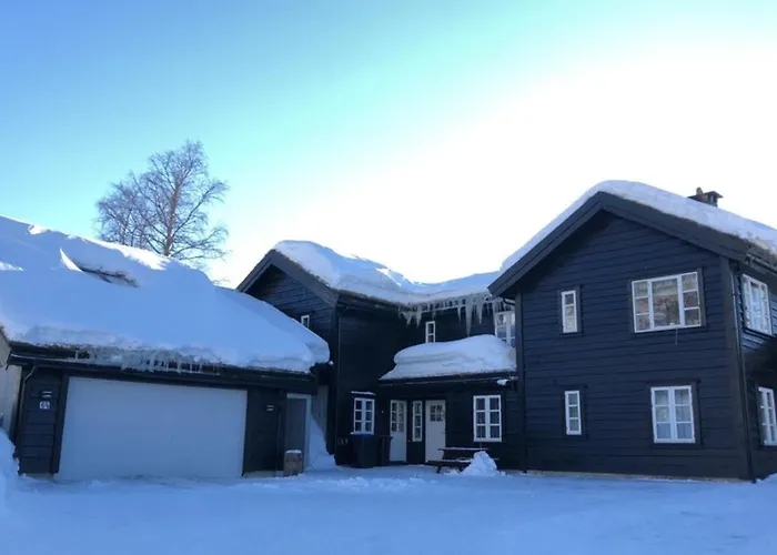 Flott Pa Haugen I Sirdal Tjorhom
