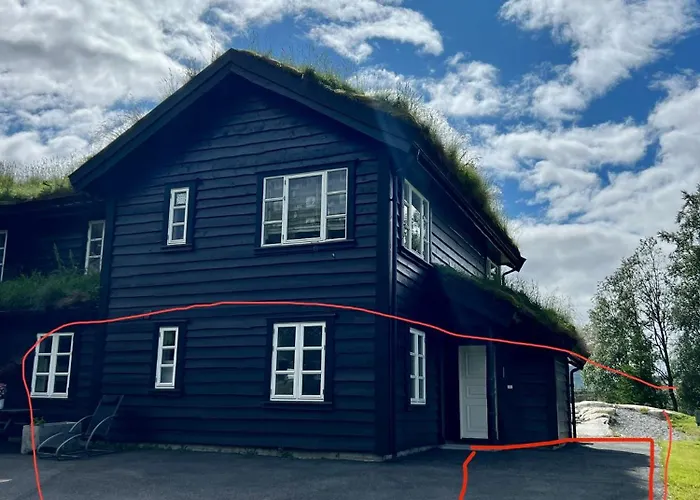 Flott Pa Haugen I Sirdal * Tjorhom